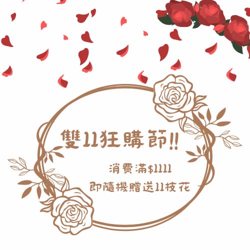雙十一特別活動！