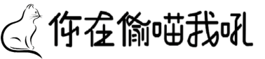 你在偷喵我吼~~ 回首頁