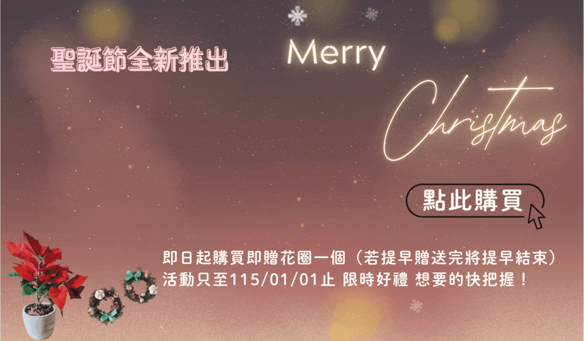 聖誕節