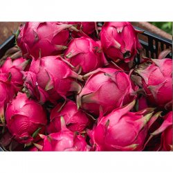 玫瑰果香紅龍果