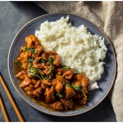 【priceless_sunse】台式三杯雞燴飯