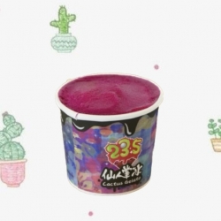 《澎湖名產》【掌上明珠】純濃仙人掌冰淇淋