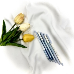 RosyPosy Fall in 腮紅系套裝筆 