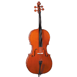 普級大提琴-雲杉