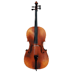 高級大提琴-虎紋楓木