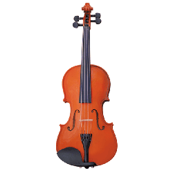 普級小提琴-雲杉