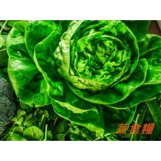 素食糧