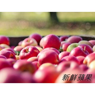 蘋果