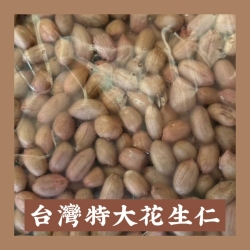 台灣特大花生仁