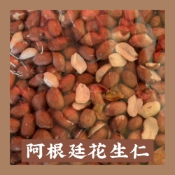 阿根廷花生仁