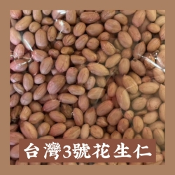 台灣3號花生仁