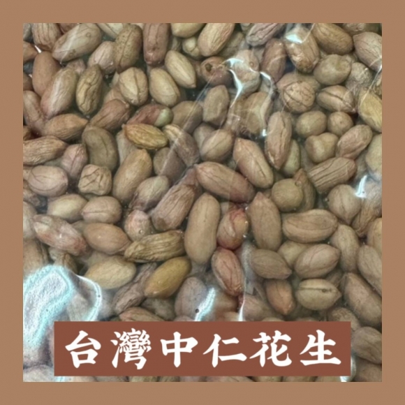 台灣中仁