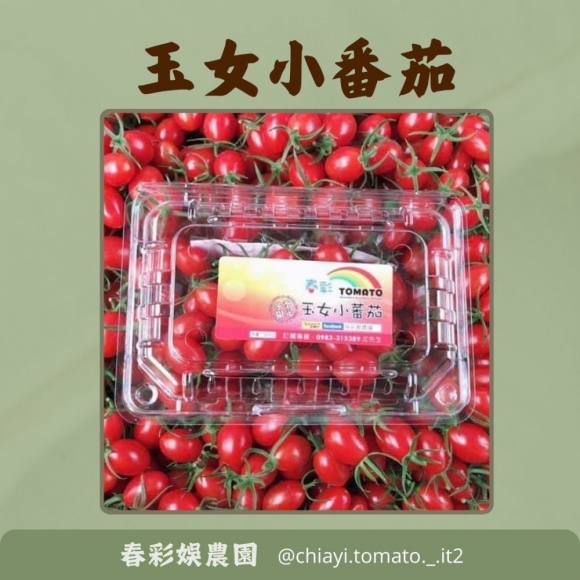 玉女小番茄