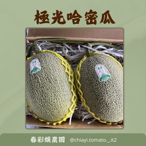 極光哈密瓜