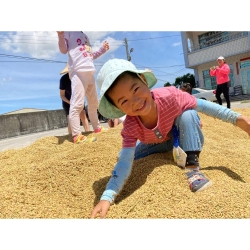 食農教育一日遊