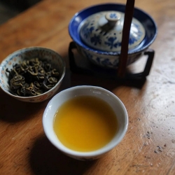 普洱茶