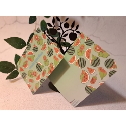 水果鸚鵡明信片-西瓜