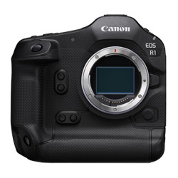 EOS R1 (Body)