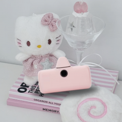 直插式行動電源