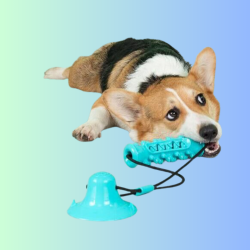 單吸盤互動磨牙玩具