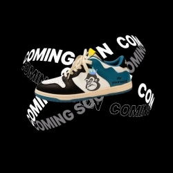 聯名款球鞋-運動用品