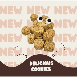 小圓餅乾（海苔口味）