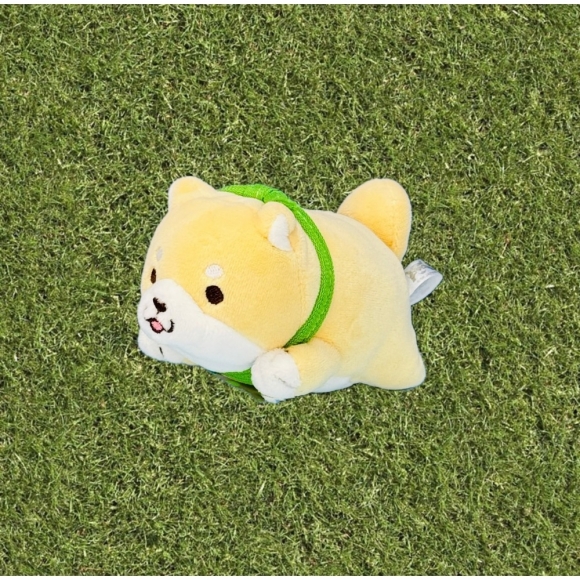 柴犬