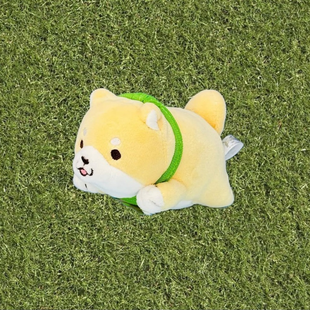 柴犬