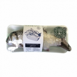 100%貓薄荷填充小鯉魚貓玩具