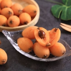 枇杷
