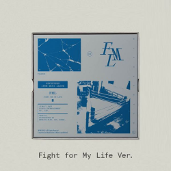 Seventeen (C版)第十張迷你專輯「FML」(韓國進口版)