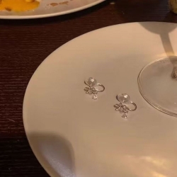 晶瑩 · 碎雪