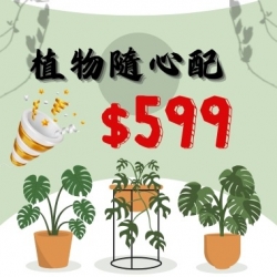 隨心配
