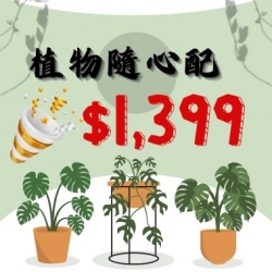 隨心配