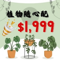 隨心配