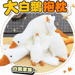 大白鵝抱枕