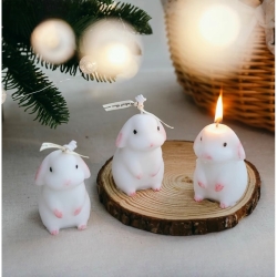 奶油小兔 Butter rabbit