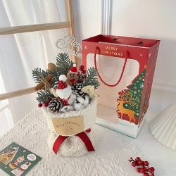聖誕紅色-節日限定